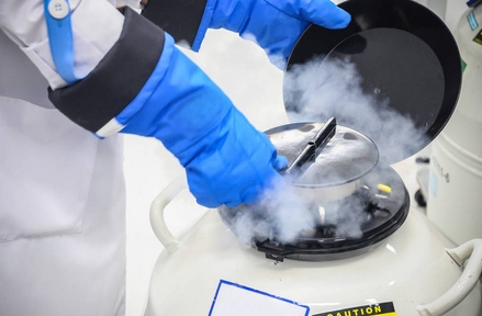 液氮罐 液氮罐