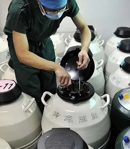 提取樣本 提取樣本